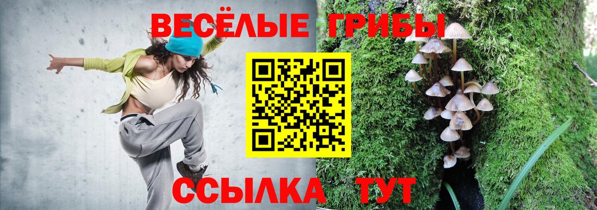 Галлюциногенные грибы ЛСД  Вход с VPN  Йошкар-Ола  Галлюциногенные грибы прущие грибы 